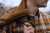 102500256_d09.png