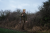 102500256_m03.png