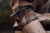 112011060_d02.png