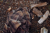 112011060_m05.png