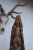 112011060_m06.png