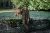 408330233_m02.webp