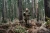 408330233_m05.webp