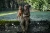 408330233_m08.webp