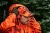 111520182_d01.webp