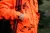 111520182_d03.webp