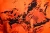 111520182_d09.webp