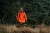 111520182_m01.webp