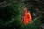 111520182_m02.webp