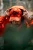 111520182_m05.webp