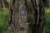 110746016_d03.png