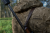 110746016_d11.png