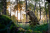 110746016_m02.png