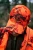 111510184_d02.webp
