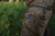 110756016_d01.png
