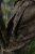 110756016_d02.png