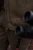103361007_d03.webp