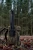 409230030_d05.webp
