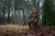 409230030_m01.webp