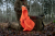408263209_m03.png