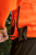 121933006_d08.png