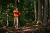 121933006_m01.png