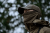 408220261_m02.png