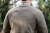 106090206_d02.png