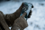 108730011_d04.png