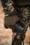 404350030_d02.png