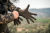 404350030_m02.png