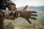 404350030_m03.png